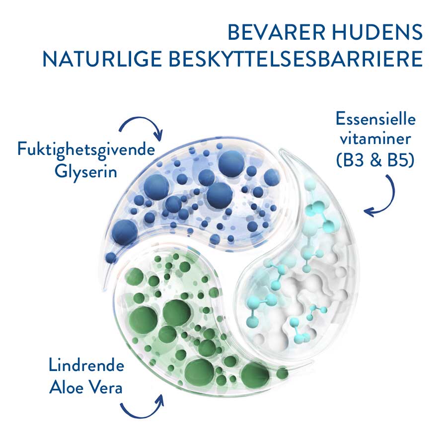 Hydrating Foaming Cream Cleanser 
                    Ingredients